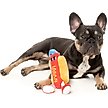 Show in main carousel: FuzzYard Franky Squeaky Plush Dog Toy slide 4 of 6
