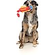 Show in main carousel: FuzzYard Franky Squeaky Plush Dog Toy slide 3 of 6