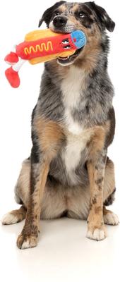 Show full view: FuzzYard Franky Squeaky Plush Dog Toy slide 3 of 6