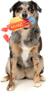 Show full view: FuzzYard Franky Squeaky Plush Dog Toy slide 2 of 6