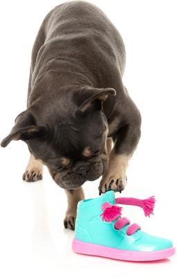 Show full view: FuzzYard Fresh Kicks N' Licks Dog Chew Toy slide 4 of 11