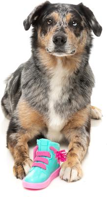 Show full view: FuzzYard Fresh Kicks N' Licks Dog Chew Toy slide 3 of 11