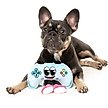 Show in main carousel: FuzzYard Gamezy Squeaky Plush Dog Toy slide 4 of 6