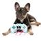 Show in main carousel: FuzzYard Gamezy Squeaky Plush Dog Toy slide 4 of 6