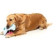 Show in main carousel: FuzzYard Gamezy Squeaky Plush Dog Toy slide 2 of 6