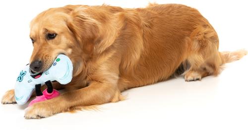 Show full view: FuzzYard Gamezy Squeaky Plush Dog Toy slide 2 of 6