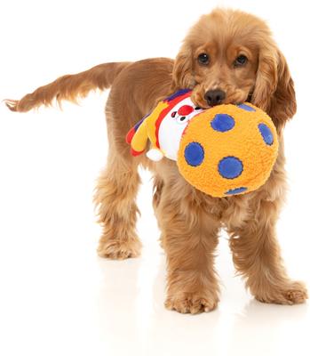 Show full view: FuzzYard Giggles Mushroom Squeaky Plush Dog Toy slide 3 of 9