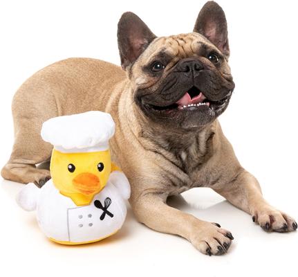 Show full view: FuzzYard Gordon Quacksay Squeaky Plush Dog Toy slide 4 of 10