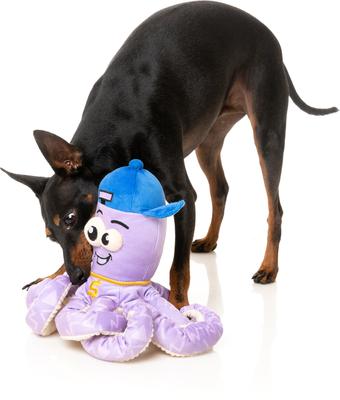 Show full view: FuzzYard Hip Hoptapus Squeaky Plush Dog Toy slide 3 of 5