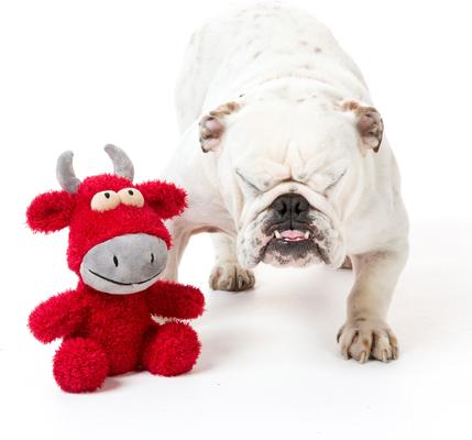 Show full view: FuzzYard Jordan Bull Squeaky Plush Dog Toy, Large slide 4 of 7