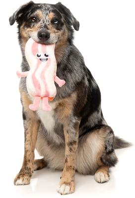 Show full view: FuzzYard Kevin Bacon-Strip Squeaky Plush Dog Toy slide 5 of 10