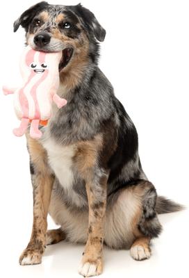 Show full view: FuzzYard Kevin Bacon-Strip Squeaky Plush Dog Toy slide 3 of 10