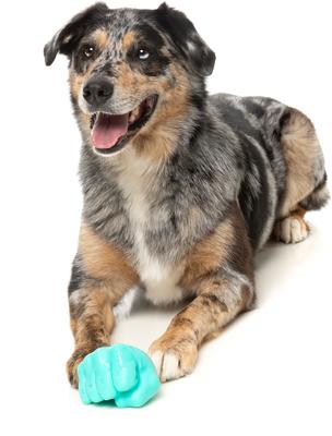 Show full view: FuzzYard Knuckle Sandwich Treat Dispensing Dog Toy slide 5 of 11