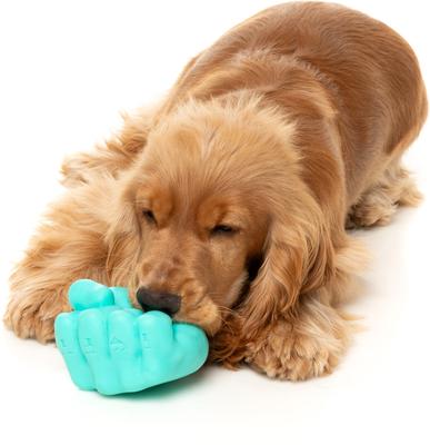 Show full view: FuzzYard Knuckle Sandwich Treat Dispensing Dog Toy slide 3 of 11