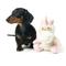 Show in main carousel: FuzzYard Little Electra Unicorn Squeaky Plush Dog Toy, Small slide 3 of 6