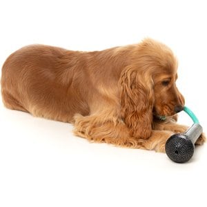 FuzzYard Mic Drop Squeaky Dog Chew Toy