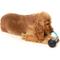 Show in main carousel: FuzzYard Mic Drop Squeaky Dog Chew Toy slide 5 of 12