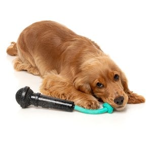 FuzzYard Mic Drop Squeaky Dog Chew Toy