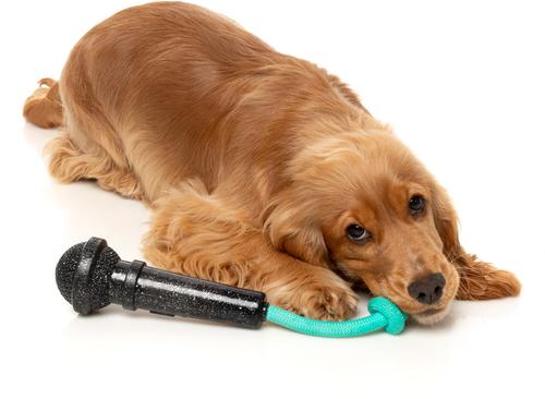 Show full view: FuzzYard Mic Drop Squeaky Dog Chew Toy slide 4 of 12