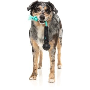 FuzzYard Mic Drop Squeaky Dog Chew Toy