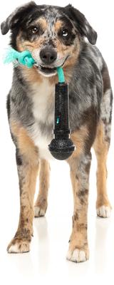 Show full view: FuzzYard Mic Drop Squeaky Dog Chew Toy slide 3 of 12