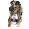 Show in main carousel: FuzzYard Milk & Cookie Squeaky Plush Dog Toy, 2 count slide 5 of 7