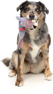 Show full view: FuzzYard Peace Out Pigeon Squeaky Stuffing-Free Plush Dog Toy slide 5 of 9