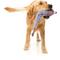 Show in main carousel: FuzzYard Peace Out Pigeon Squeaky Stuffing-Free Plush Dog Toy slide 4 of 9