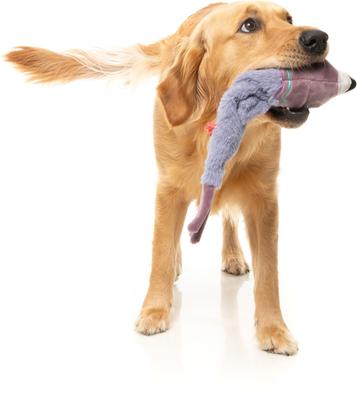 Show full view: FuzzYard Peace Out Pigeon Squeaky Stuffing-Free Plush Dog Toy slide 4 of 9