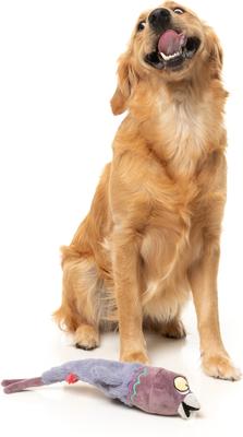 Show full view: FuzzYard Peace Out Pigeon Squeaky Stuffing-Free Plush Dog Toy slide 3 of 9