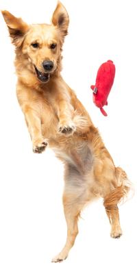 Show full view: FuzzYard Pepper-Toni Squeaky Plush Dog Toy slide 5 of 8