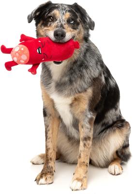 Show full view: FuzzYard Pepper-Toni Squeaky Plush Dog Toy slide 2 of 8