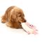 Show in main carousel: FuzzYard Piggy Smalls Squeaky Plush Dog Toy slide 5 of 8