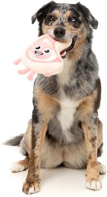 Show full view: FuzzYard Piggy Smalls Squeaky Plush Dog Toy slide 3 of 8