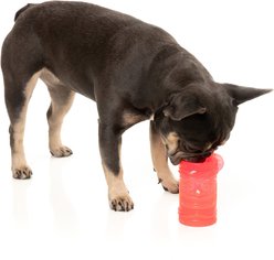 FuzzYard Pina Coolada Freeze Dog Chew Toy slide 2 of 9