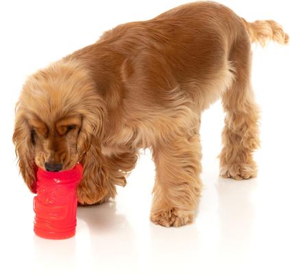 Show full view: FuzzYard Pina Coolada Freeze Dog Chew Toy slide 3 of 12