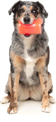 Show full view: FuzzYard Pina Coolada Freeze Dog Chew Toy slide 2 of 12