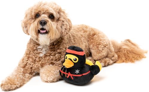 Show full view: FuzzYard Quackie Chan Squeaky Plush Dog Toy slide 3 of 9