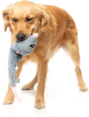 Show full view: FuzzYard Rack Off Rat Squeaky Stuffing-Free Plush Dog Toy slide 4 of 9