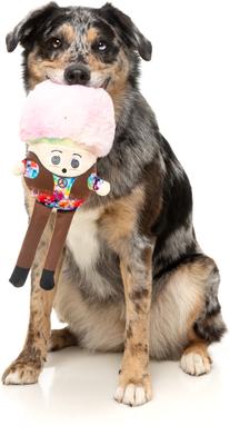 Show full view: FuzzYard Rainbow Mushroom Squeaky Plush Dog Toy slide 4 of 8