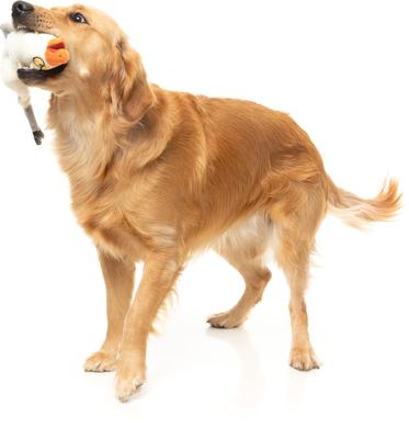 Show full view: FuzzYard See-Ya Seagull Squeaky Stuffing-Free Plush Dog Toy slide 4 of 9