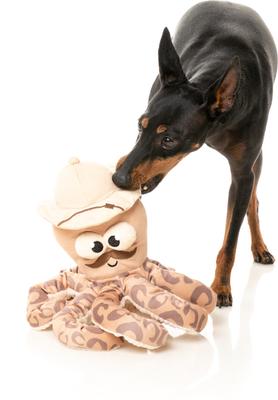 Show full view: FuzzYard Sir David Octoborough Squeaky Plush Dog Toy slide 5 of 8