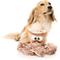 Show in main carousel: FuzzYard Sir David Octoborough Squeaky Plush Dog Toy slide 4 of 8