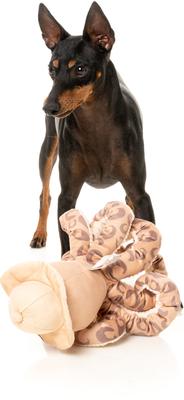 Show full view: FuzzYard Sir David Octoborough Squeaky Plush Dog Toy slide 3 of 8