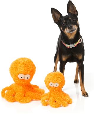 Show full view: FuzzYard Sir Legs-A-Lot Octopus Squeaky Plush Dog Toy, Large slide 3 of 6