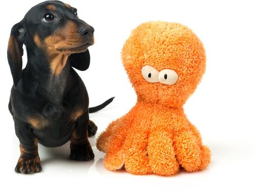 Show full view: FuzzYard Sir Legs-A-Lot Octopus Squeaky Plush Dog Toy, Large slide 4 of 6