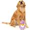 Show in main carousel: FuzzYard Sirius Quack Squeaky Plush Dog Toy, Large slide 4 of 10