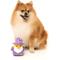 Show in main carousel: FuzzYard Sirius Quack Squeaky Plush Dog Toy, Small slide 4 of 10