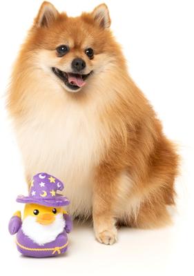 Show full view: FuzzYard Sirius Quack Squeaky Plush Dog Toy, Small slide 4 of 10