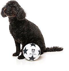 FuzzYard Soccer Ball Squeaky Plush Dog Toy slide 2 of 6